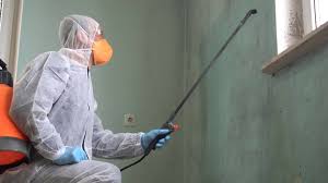 Best Emergency Mold Remediation in Sardis, MS